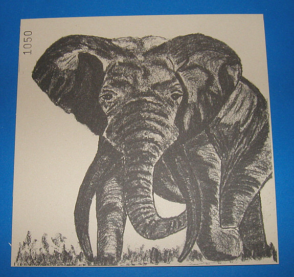 Elefanten - Scheibe (50 Stück)